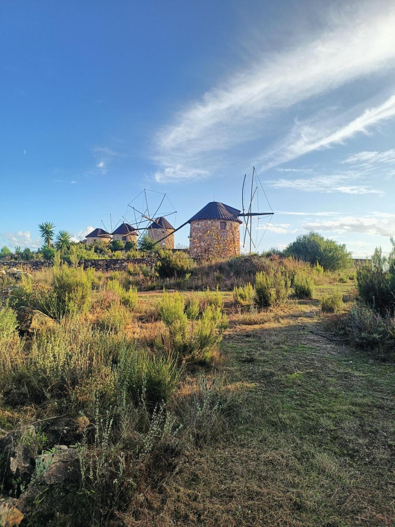 Moinho Da Alfazema Villa Penacova Exterior photo